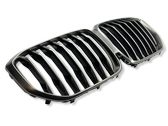 Front bumper upper radiator grill