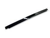 Rear door glass trim molding