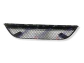 Front bumper lower grill