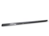 Rear door trim (molding)
