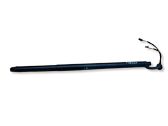 Tailgate/trunk strut/damper
