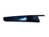 Rear door glass trim molding
