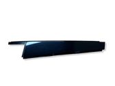 Rear door glass trim molding