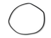 Rear door rubber seal (on body)