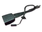 Fender trim (molding)