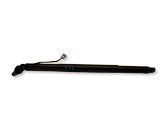Tailgate/trunk strut/damper
