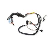 Rear door wiring loom