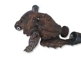 Front differential