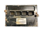 Engine control unit/module ECU