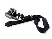 Rear seatbelt