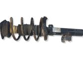 Front shock absorber with coil spring