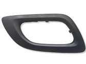 Front door handle cover
