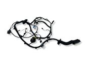 Front door wiring loom