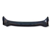 Windshield trim
