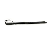 Tailgate/trunk strut/damper