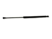 Tailgate/trunk strut/damper