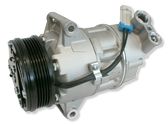 Klimakompressor Pumpe