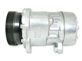 Air conditioning (A/C) compressor (pump)