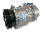 Klimakompressor Pumpe