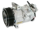 Klimakompressor Pumpe