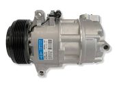Klimakompressor Pumpe