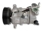 Air conditioning (A/C) compressor (pump)