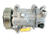Air conditioning (A/C) compressor (pump)
