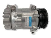 Air conditioning (A/C) compressor (pump)