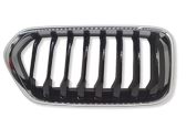 Kühlergrill