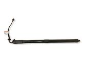 Tailgate/trunk strut/damper