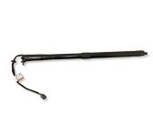 Tailgate/trunk strut/damper