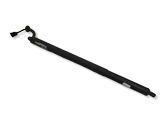 Tailgate/trunk strut/damper