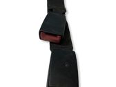 Rear seatbelt buckle