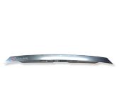 Trunk door license plate light bar