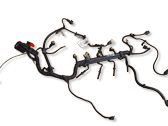 Engine installation wiring loom