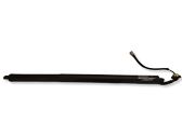 Tailgate/trunk strut/damper