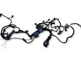 Engine installation wiring loom