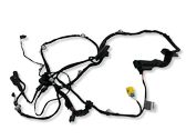 Front door wiring loom