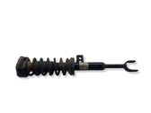 Front shock absorber with coil spring