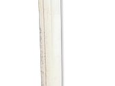 Front door trim (molding)