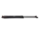 Tailgate/trunk strut/damper