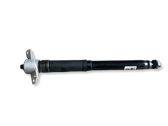 Rear shock absorber/damper
