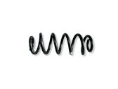 Rear coil spring