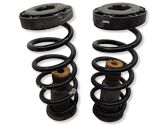 Front coil spring