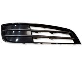 Front bumper lower grill