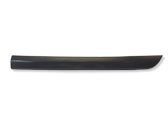 Rear door trim (molding)