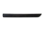 Rear door trim (molding)