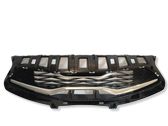 Front bumper upper radiator grill