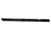 Front door trim (molding)