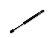 Tailgate/trunk strut/damper